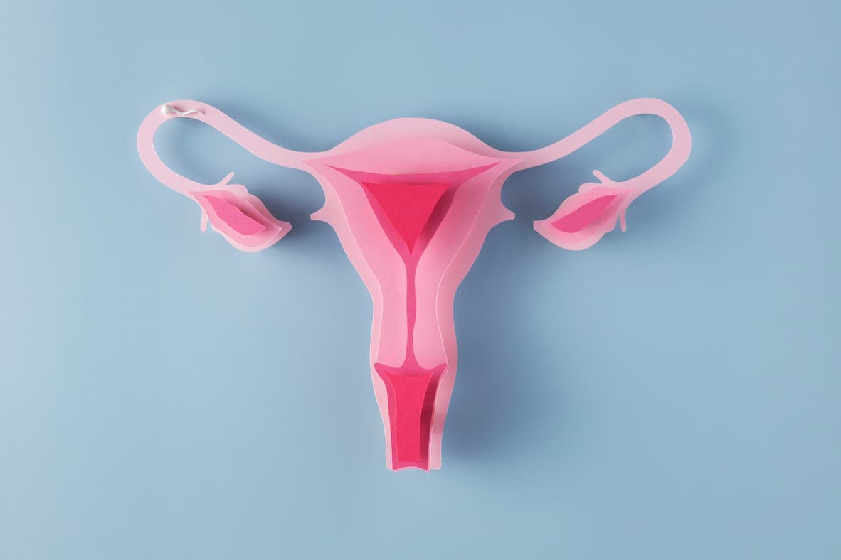 Can I Become a Mom If I Only Have One Ovary?