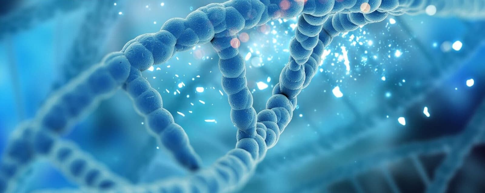 Día del ADN: cómo la información genética influye en tu posibilidad de tener un bebé