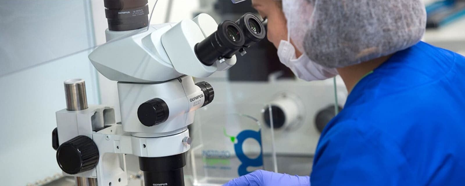 World Laboratory Day: where the possibility of having a baby begins