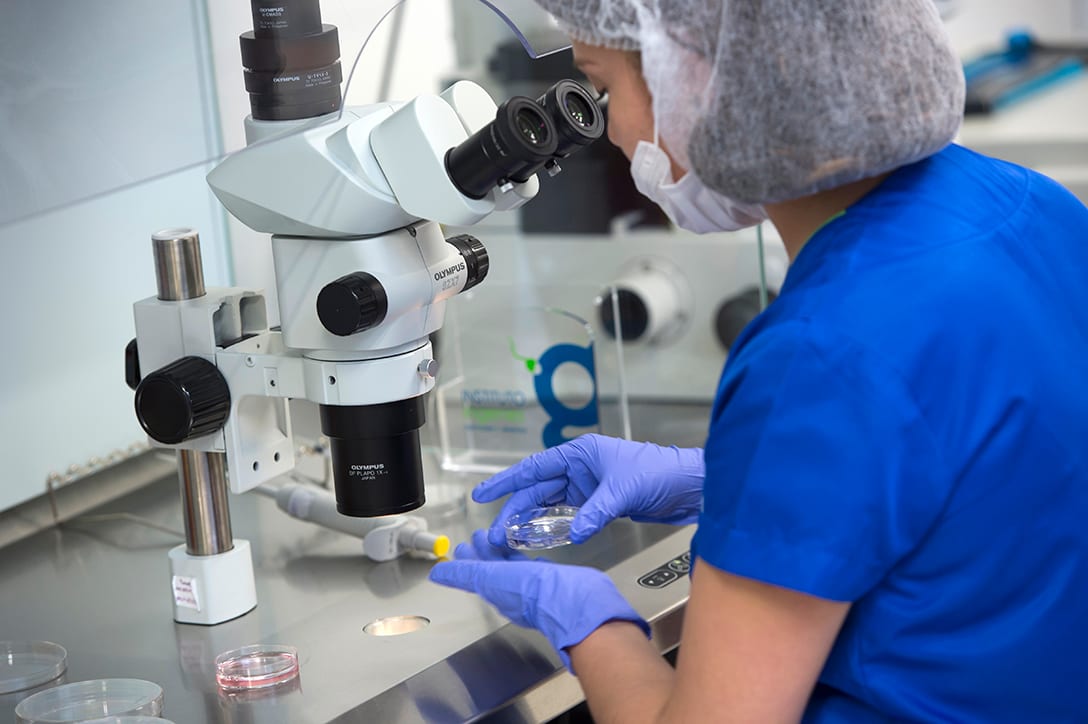 Embrióloga de Ingenes analizando una muestra en el microscopio del laboratorio de reproducción asistida