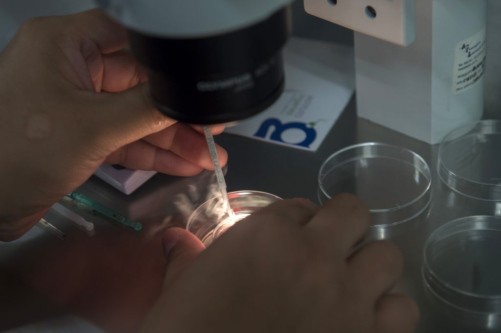 Ingenes Laboratories
