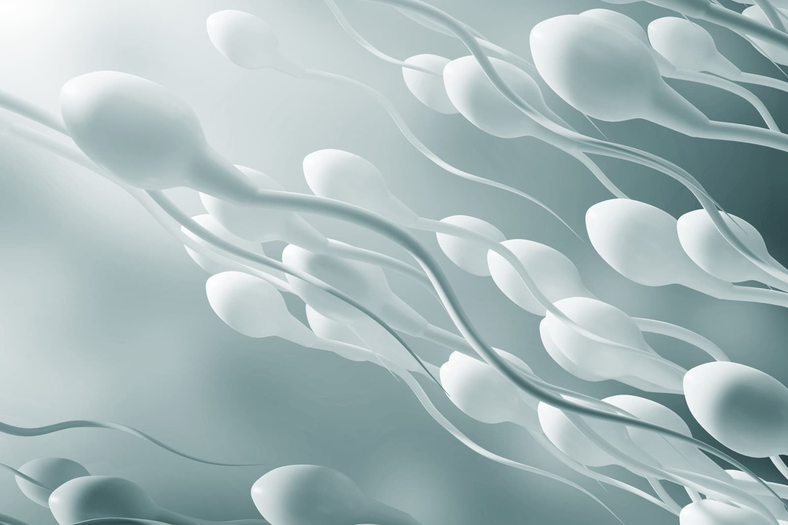 Ilustración de espermatozoides, las células que el banco de semen analiza y conserva